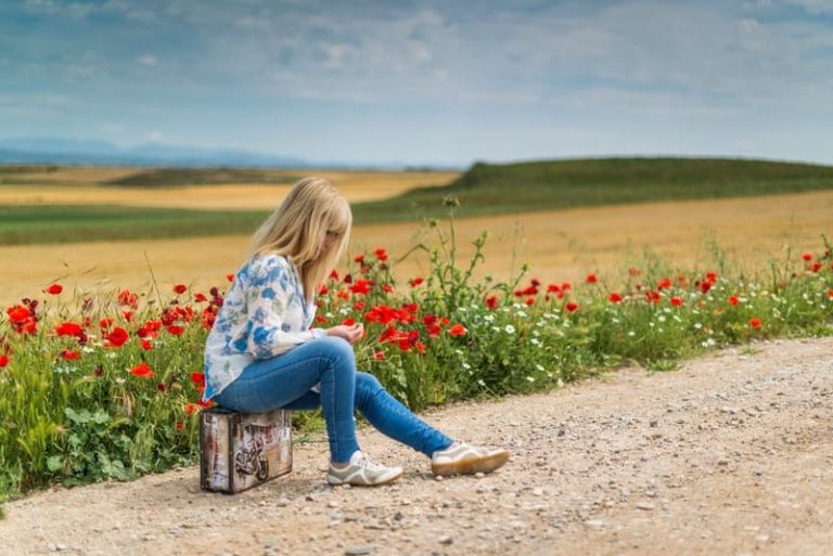 woman sitting on her luggage along the street near the red petal flowers during daytime