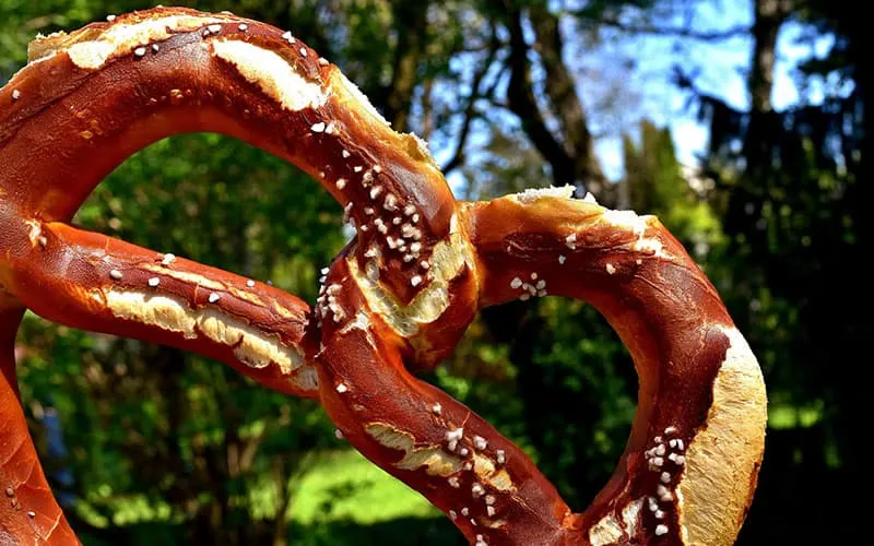 a big pretzel in focus with green tree leaves behind
