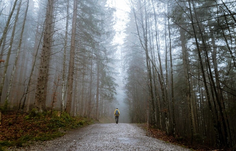 Solo foresta d'atmosfera autunnale con l'uomo al centro in un giorno di nebbia
