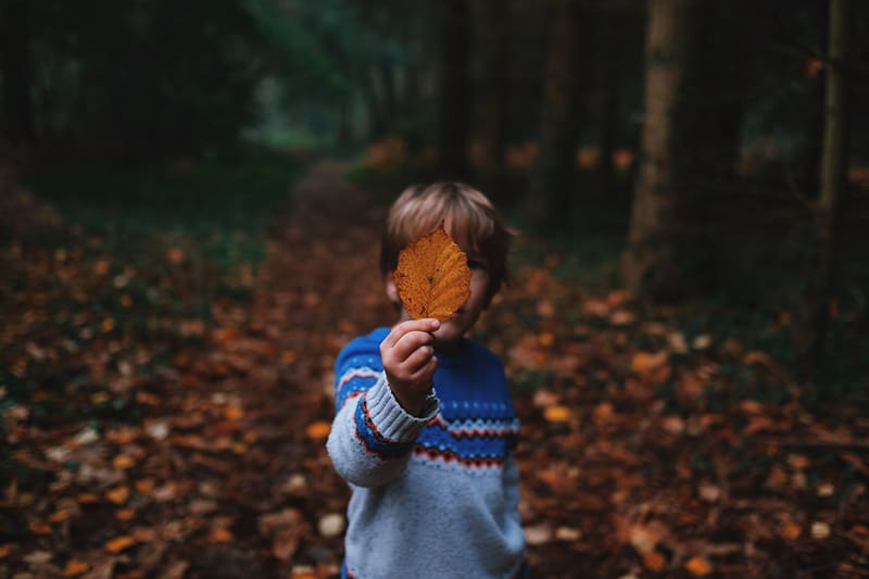 boy holding brown leaf and covering his face
