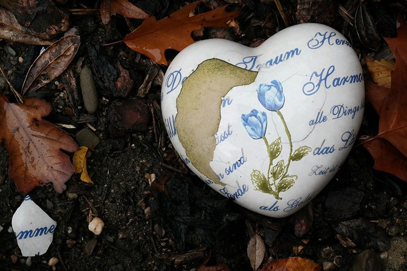 broke heart shaped decoration on the leaves