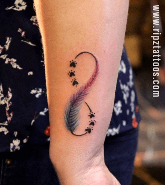 colorful feather tattoo with small paws tattoo