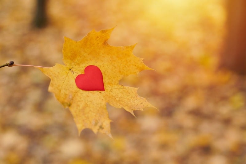 Red heart on a yellow leaf