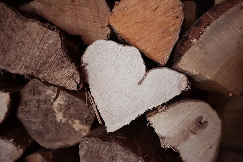 heart shaped firewood in the middle