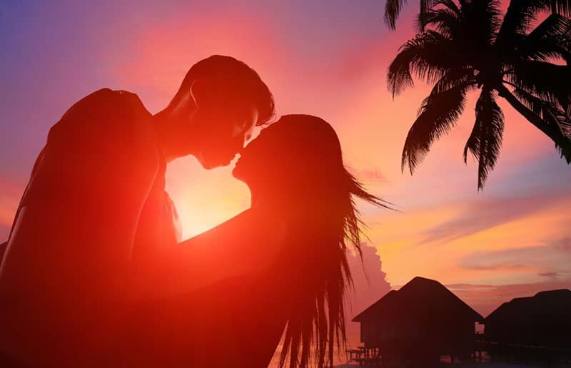 heart shaped light formed by two couple kissing near a coconut tree