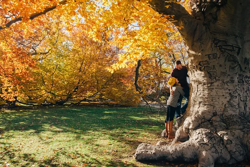 man and woman standing beside the tree with yellow leaves