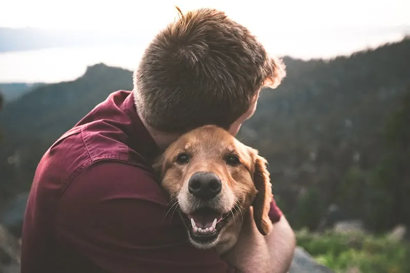 man hugging the dog in the nature