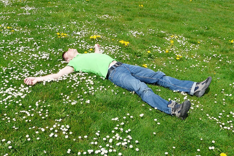 man lying down on grass surrounded with flowers