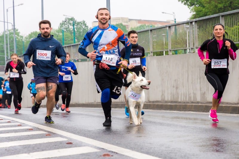 persone che corrono la maratona di giorno