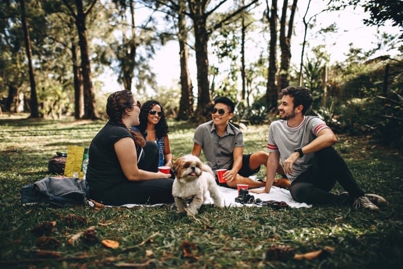 four people sitting on white mat on grass field