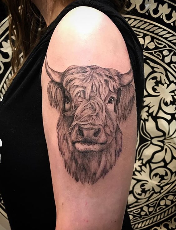 tatuaggio realistico con testa di toro sulla spalla