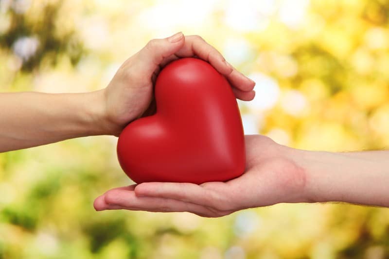 Red heart in woman and man hands on green blurry background