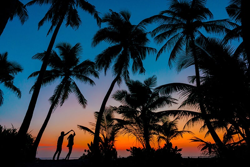 silhouette of man and woman beside trees during sunset