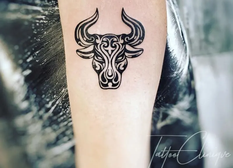 Premium Vector  Bull tribal tattoo art