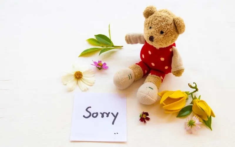 Teddy bear with sorry note and flowers