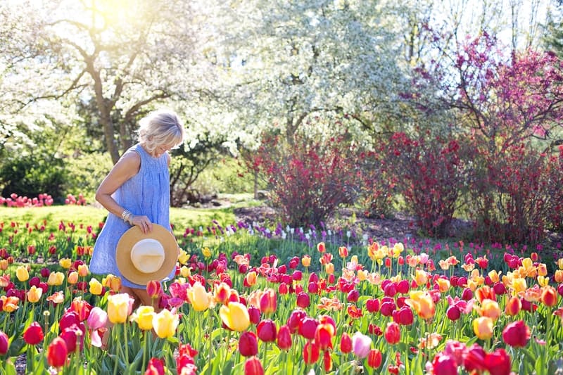 donna che si gode il giardino con bellissimi fiori rosa e gialli