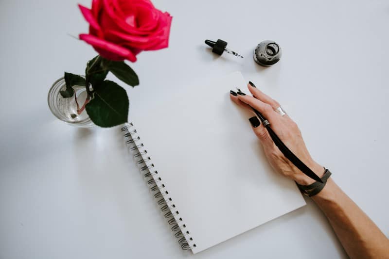 woman holding notebook near red rose