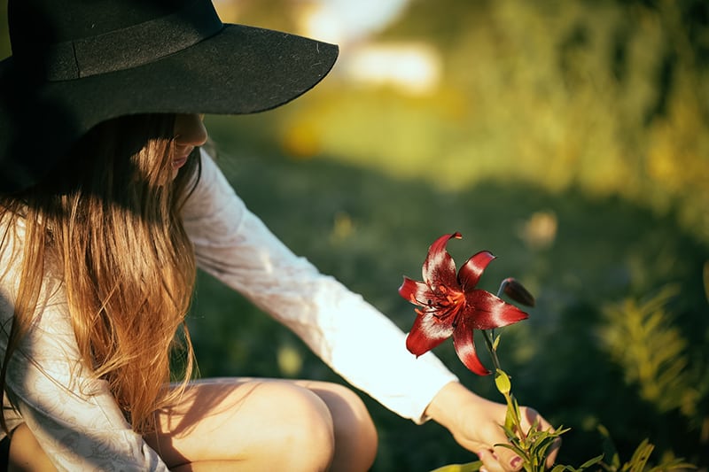 donna che raccoglie un fiore rosso durante il giorno