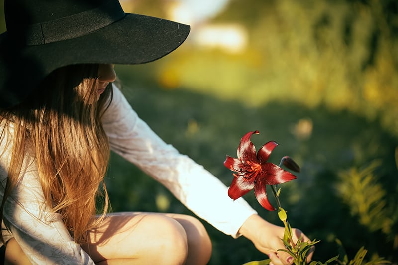 mulher a apanhar uma flor vermelha durante o dia