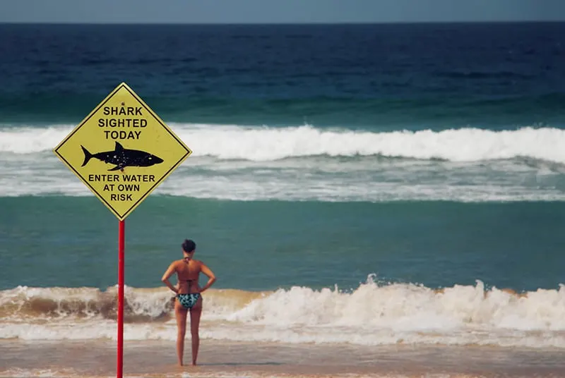 woman standing at beach beside shark signage