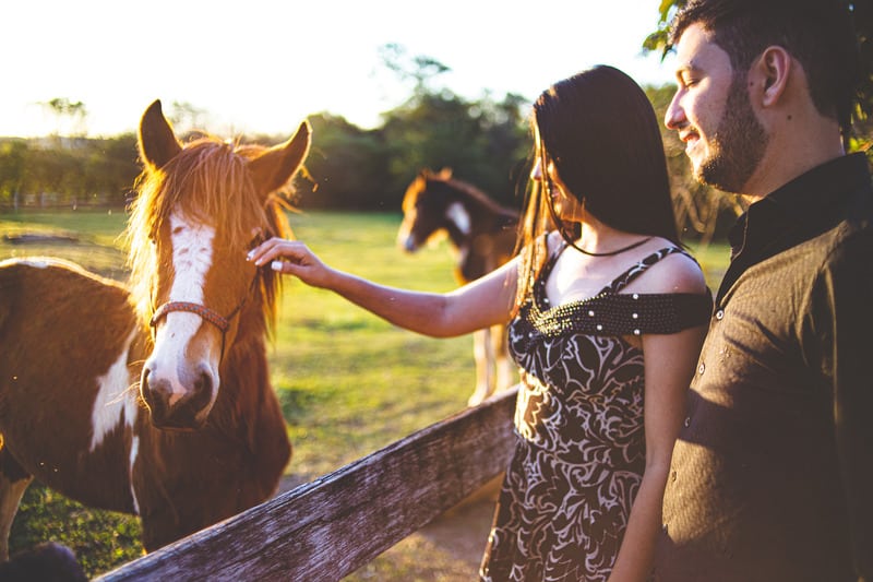 woman touch a horse while a man is standing beside her