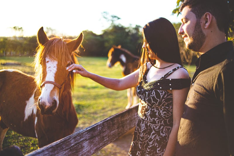 una mujer toca un caballo mientras un hombre está a su lado