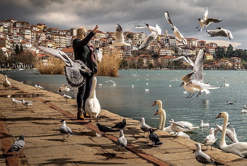 mujer con chaqueta negra de pie cerca del océano con gaviotas y cisnes