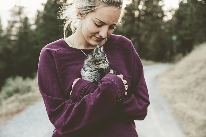 mulher de camisola roxa abraça um gatinho cinzento