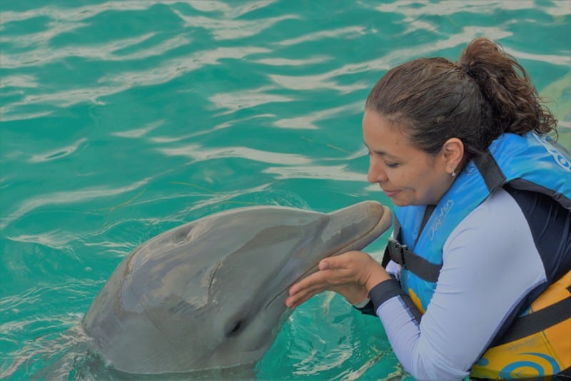 mujer jugando con delfín en el agua