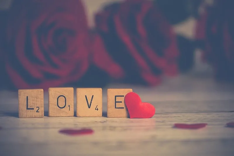 word love made with wooden blocks with roses in backround