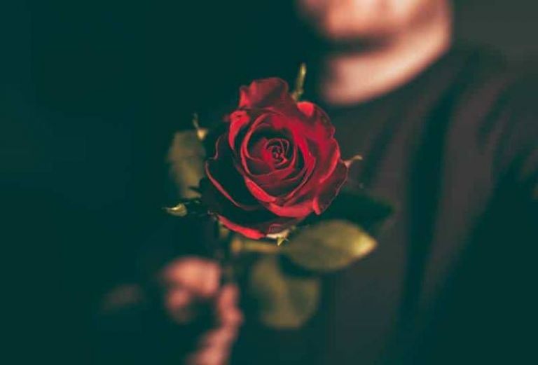 uomo tiene in mano una rosa rossa