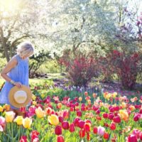 mulher de vestido azul a passear num campo de tulipas