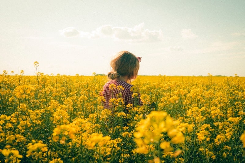 woman standing on yellow flower field