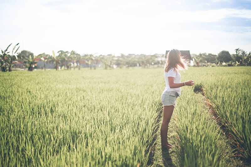 mulher de pé em campos de arroz verdes durante o dia