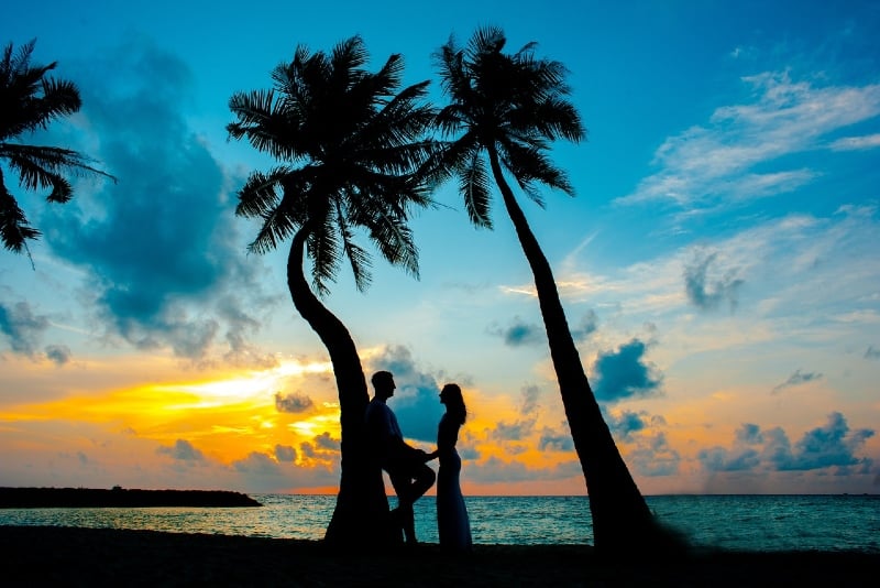 man and woman standing under palm tree during sunset