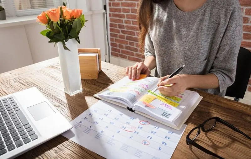 woman making schedule on her personal planner/ organizer 