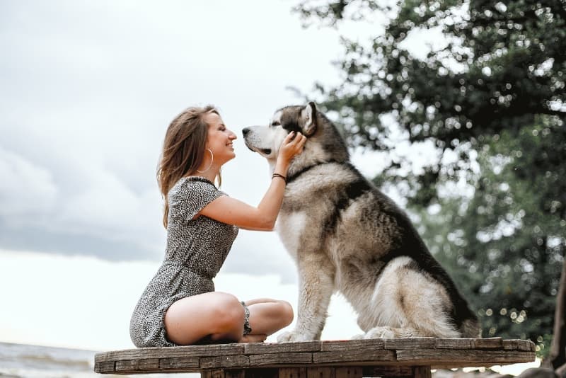 smiling woman petting dog while sitting outdoor