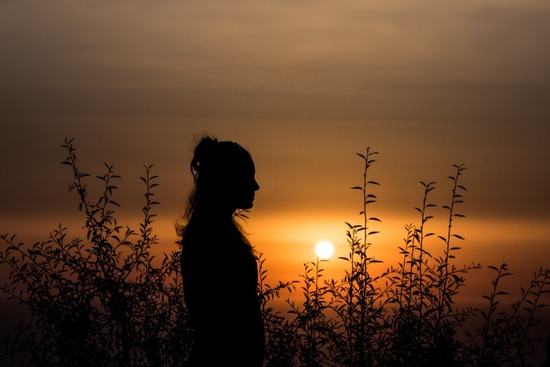 donna in piedi vicino alle piante durante il tramonto