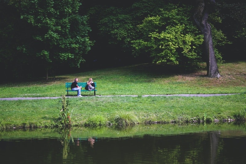 uomo e donna seduti su una panchina vicino agli alberi