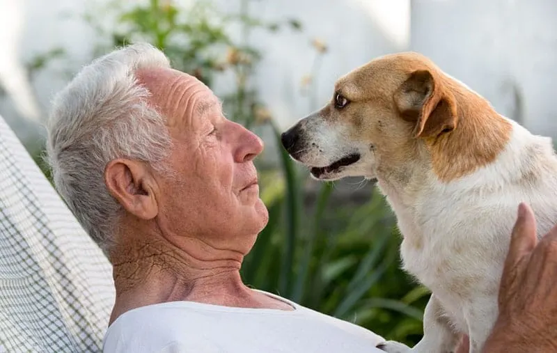 old man with a dog standing over him while relaxing in the garden