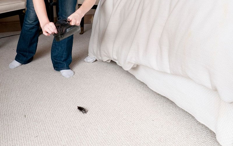person killing insect with a shoe beside the bed