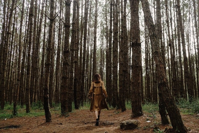 donna con cappotto marrone che cammina nella foresta