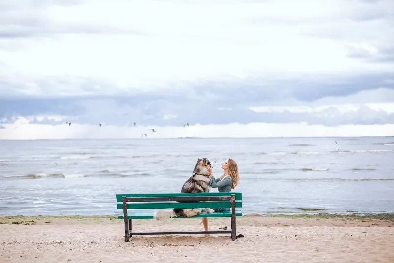woman petting dog while sitting on bench near sea