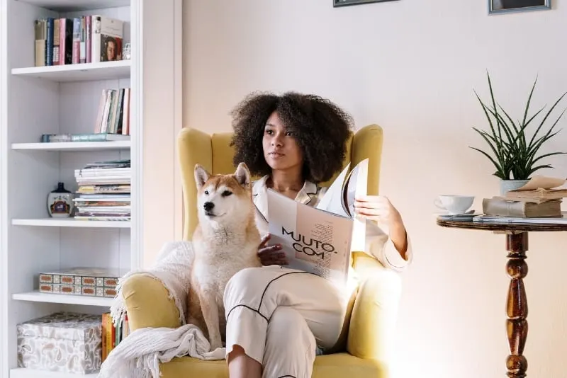 woman sitting on yellow armchair near dog