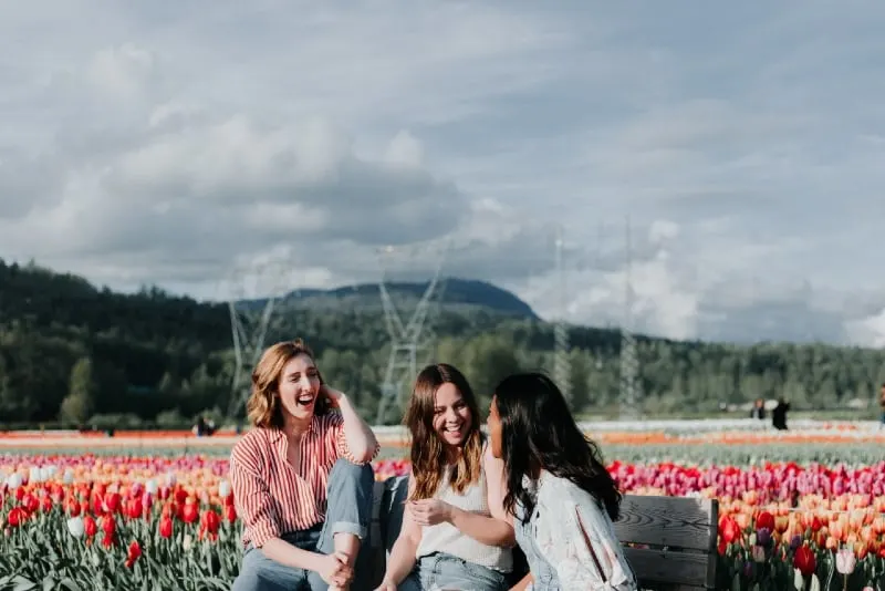three women sitting on bench near field of tulips