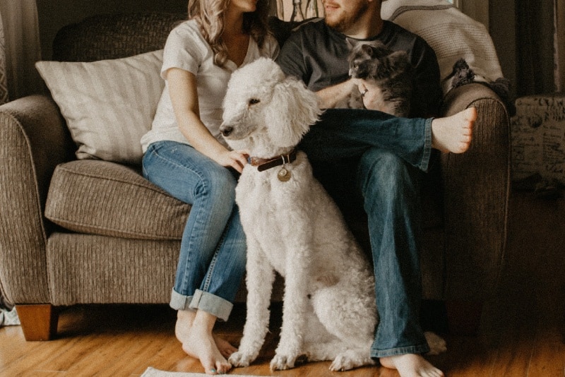 hombre y mujer sentados en un sofá junto a un perro