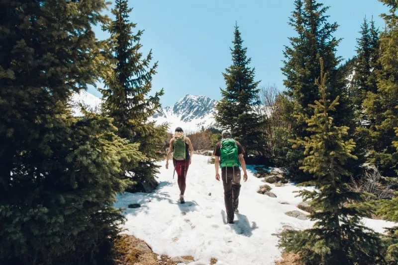 man and woman with backpacks walking in forest