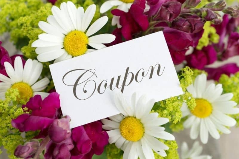 coupon and vouchers with daisies and snapdragon