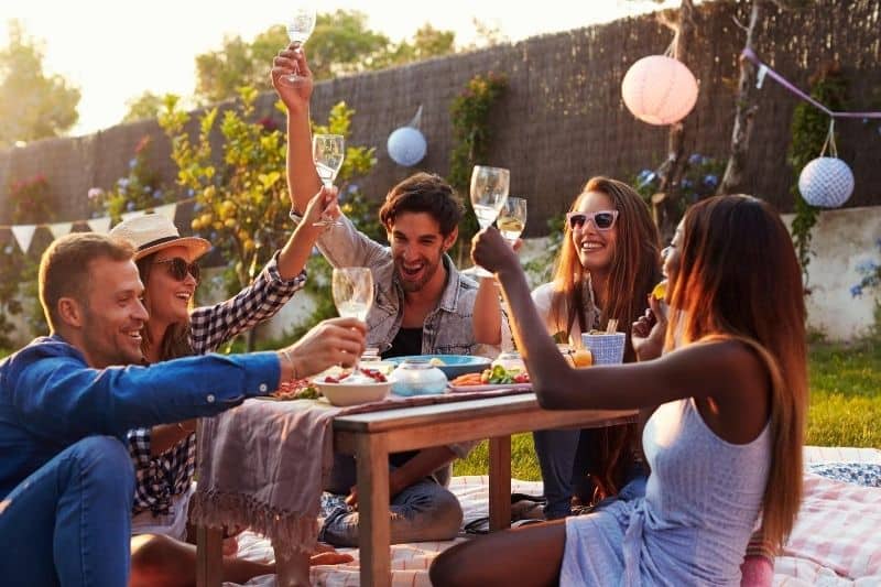 grupo de homens e mulheres a desfrutar de uma festa de piquenique ao ar livre 