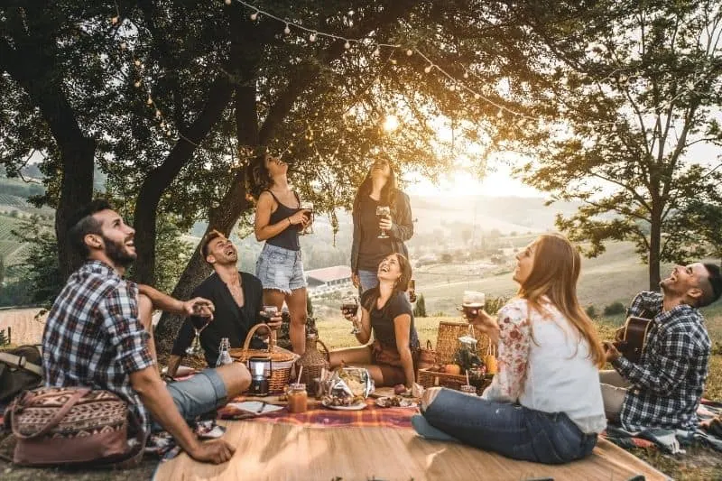 group of friends on picnic at the park under a tree with food and wine on the mat